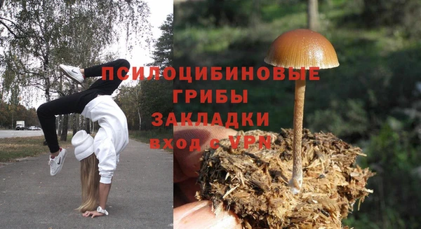 spice Армянск