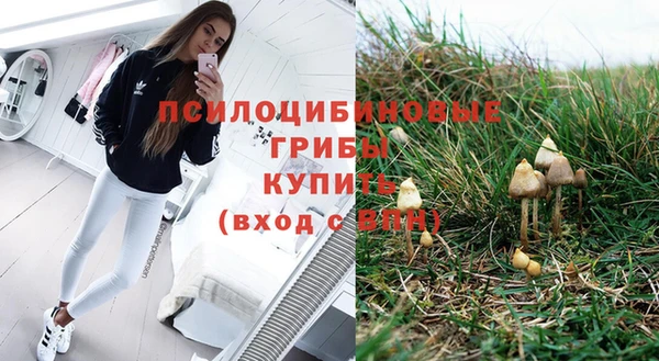 spice Армянск