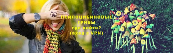 бошки Аркадак