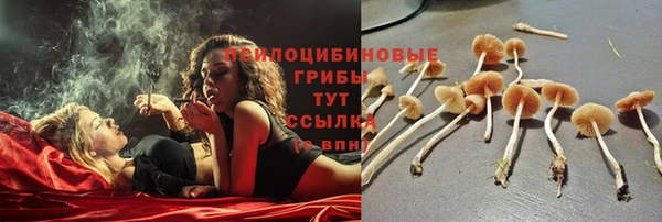бошки Аркадак
