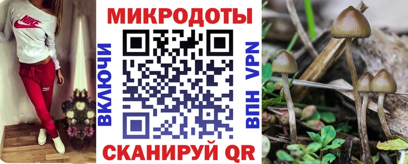 Галлюциногенные грибы GOLDEN TEACHER  дарнет шоп  Ревда 